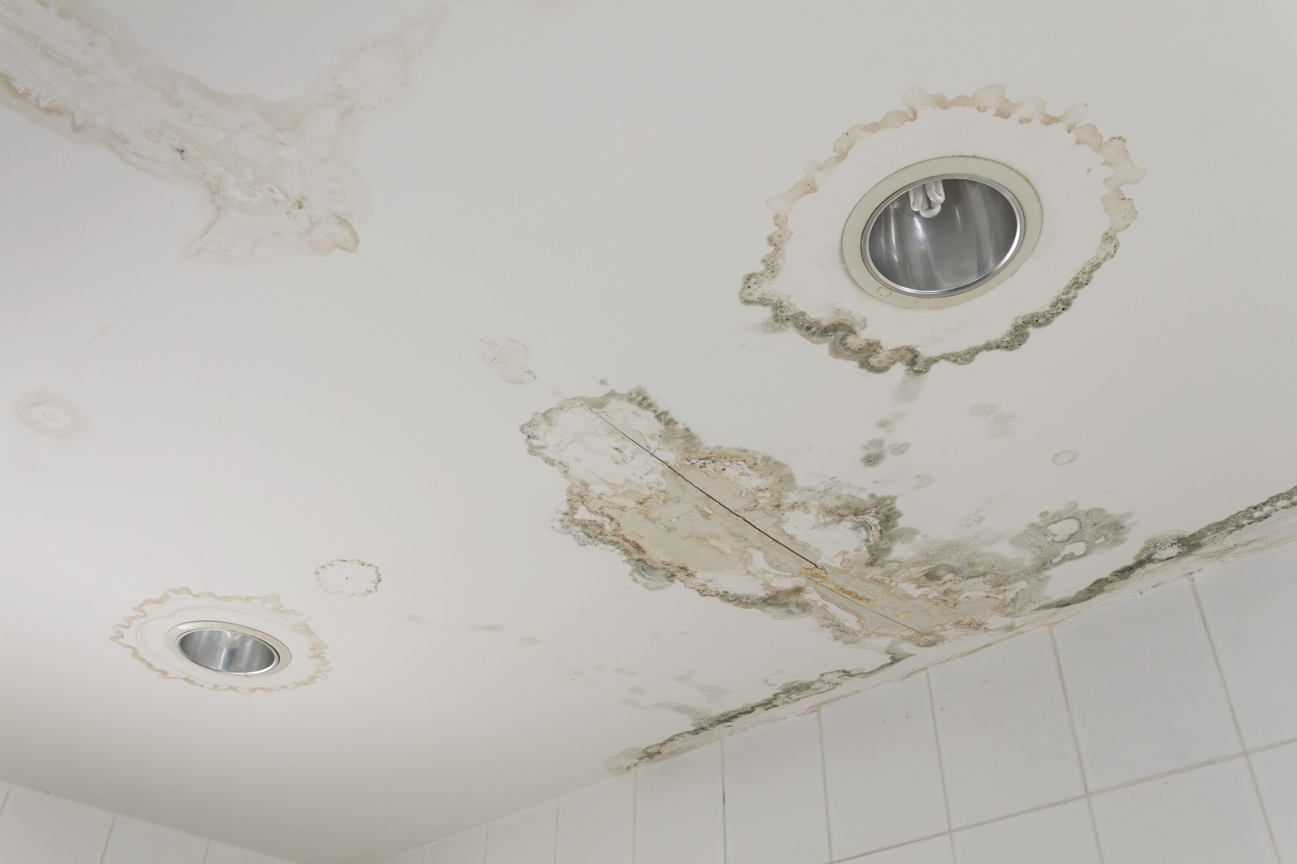 5 Telltale Signs of Water Damage in Your Property